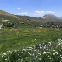 زمین فروشی چسبیده به بافت در منطقه زیبای پلور