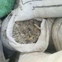 کود کبوتر اصل خشک وتمیز|خدمات باغبانی و درختکاری|باروق, |دیوار