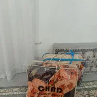 پتو