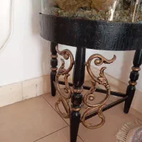 اکواریوم سایز بزرگ پایه فلز|ماهی|سیرجان, |دیوار