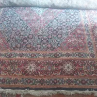 قالی تمیز و قشنگ|فرش|اهواز, چهارصد دستگاه|دیوار