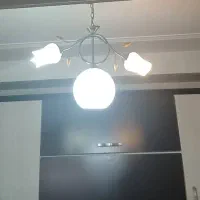 لوستر های پنج شاخه هر کدام ۲۵۰۰۰۰۰ میلیون|لوستر و چراغ آویز|تبریز, |دیوار