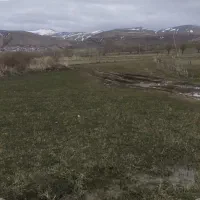 فروش زمین فوری