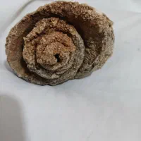 سنگ فسیلی میلیون ساله شاید هم میلیارد ساله