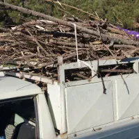 وانت پیکان دوگانه‌سوز|خودرو سواری و وانت|فولادشهر, A1|دیوار