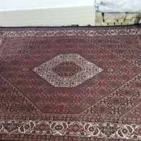 فرش دستبافت ۶ متری