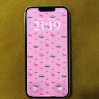 ایفون ۱۳|موبایل|گلبهار, شهر جدید گلبهار|دیوار