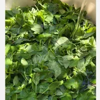 سبزی خرد شده و سبزی خوردن