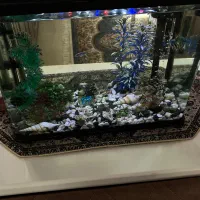 آکواریوم قاب دار