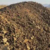 پهین گوسفند