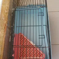 قفس خرگوش. پوشال جونده وپرنده