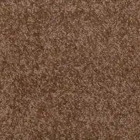 موکت خواب دار پالاز|موکت|شیراز, شهرک استقلال|دیوار