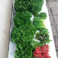 سبزی های محلی
