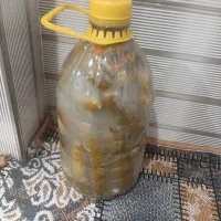 ۴لیتری خیارشور