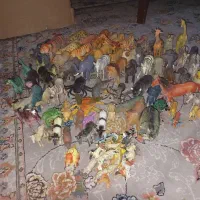 فروش اسباب بازی حیوانات