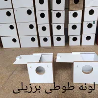 ساخت انواع لونه پرنده به سفارش مشتری آماده هم هست|لوازم جانبی حیوانات|بندر ماهشهر, |دیوار