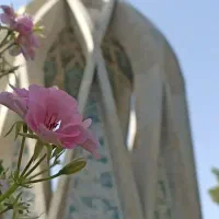 تحقیقات بر روی بدنسازی