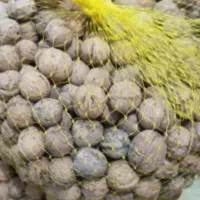 گردو درجه یک کوهستان رابر|خوردنی و آشامیدنی|رابر, |دیوار