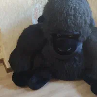 گوریل بسیار زیبا|اسباببازی بچه|تهران, اقدسیه|دیوار