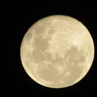 فروش دوربین کنون|دوربین عکاسی و فیلم‌برداری|مشهد, توس فردوسی|دیوار