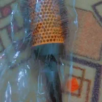 برس سشوار ضدحرارت