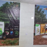 گیاهپزشک لیسانس یا فوق لیسانس