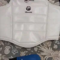 محافظ،سینه وشکم (هوگو) ضربه گیر
