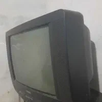 تلویزیون