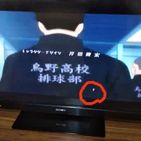 تلفزیون|تلویزیون و پروژکتور|مریوان, |دیوار