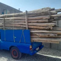 خریدار انواع چوب هیزمی زغالی ریشه درخت|خدمات باغبانی و درختکاری|آبیک, |دیوار