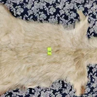 پوست طبیعی بز