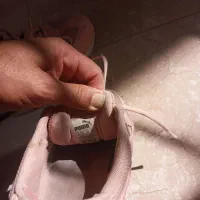 کتونی پوما اورجینال|کیف، کفش، کمربند|هشتگرد, هشتگرد قدیم|دیوار