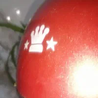 کلاه کاسکت|دوچرخه، اسکیت، اسکوتر|شیراز, شهرک کوشکک|دیوار