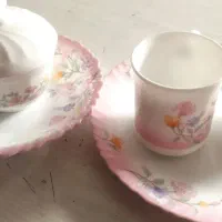 سرویس کامل آرکوپال فرانسه الیز لومینارک