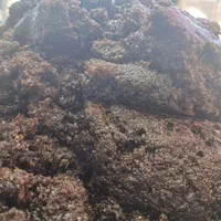 حلوا سیاه|خدمات پذیرایی، مراسم|اردبیل, |دیوار