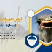 منقاربند شترمرغ