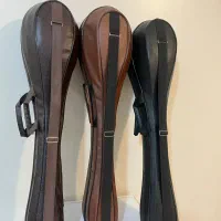 کیف و هارد کیس سه تار