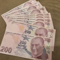 درهم کلکسیونی|کلکسیون سکه، تمبر، اسکناس|تهران, درختی|دیوار