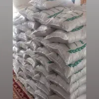 فجر محلی