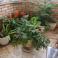 فروش آپارتمان ۱۴۲ متری ۳ خوابه در سعادت آباد