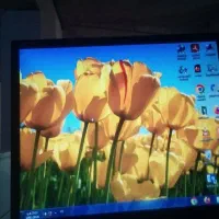 کامپیوتر|رایانه رومیزی|بهمن صغاد, |دیوار