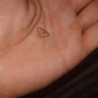 تعدادی مهره و سنگ قدیمی و انواع سکه های شاهی و..|کلکسیون و سرگرمی|اصفهان, لاله|دیوار
