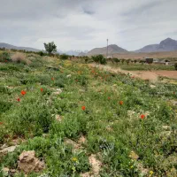 فروش-57جریب-زمین-در-روستای-خیراباد