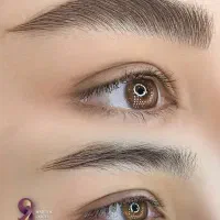 مدل کوتاهی و میکروبلیدینگ ، شیدینگ