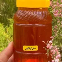 عسل گز انگبین طبیعی ساکارز بسیار پایین