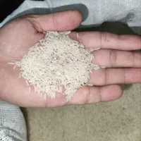 برنج هاشمی درجه یک محصول امسال