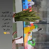 باغ شیشه ای شمس|خدمات پذیرایی، مراسم|مشهد, وکیل‌آباد|دیوار