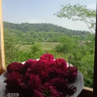 اجاره سالانه ویلایی دو طبقه باهم ۱۳۵متر  شفت