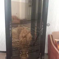 بوفه. ایستاده. در دسته مبلمان