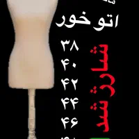 مانکن سوزن خور و ویترینی